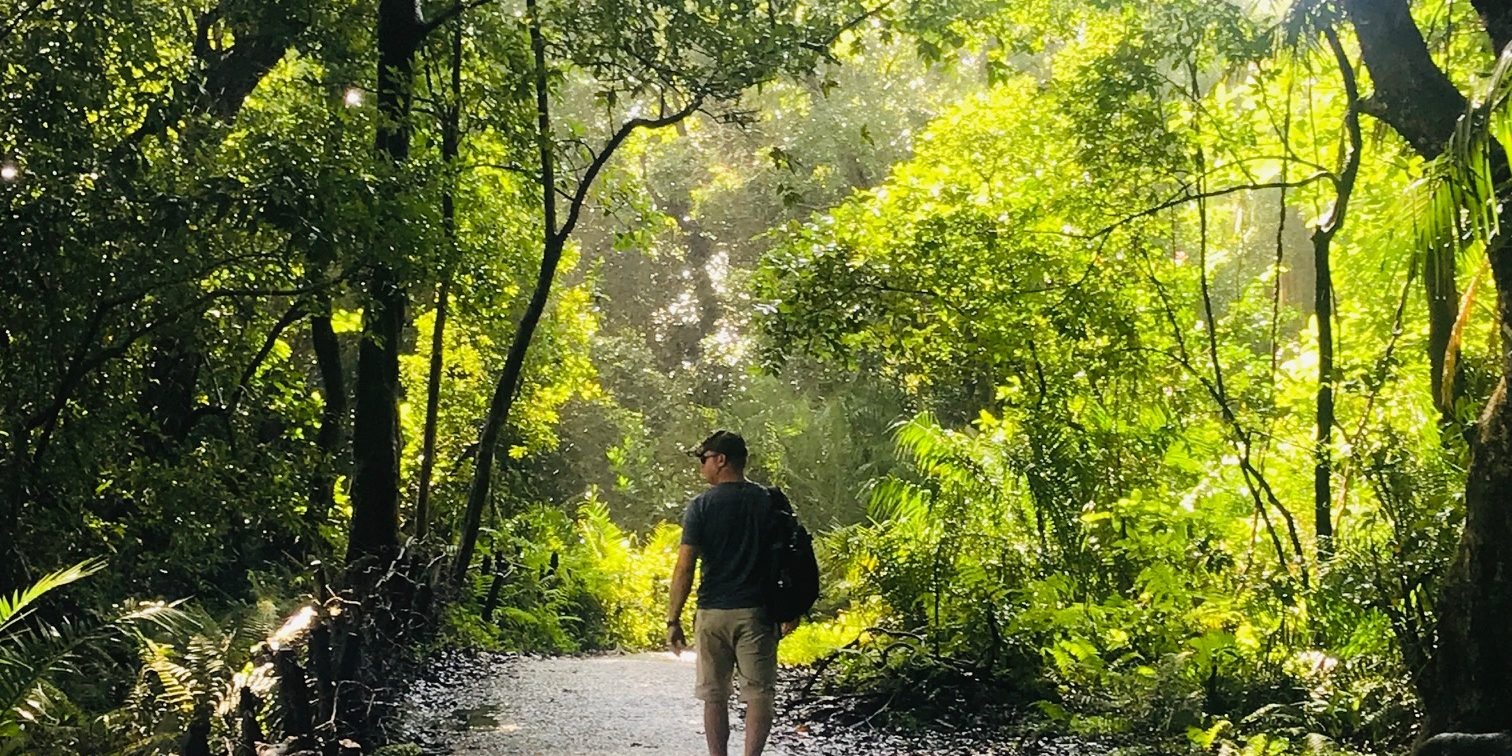 Victoria Falls Walking Tour: A Self-Guided Adventure Through the Rainforest